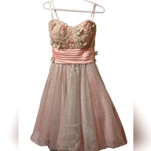 Tony Bowls Short Prom/Evening dress. Sz 6 (altered to a Sz 4) Pink and L…
